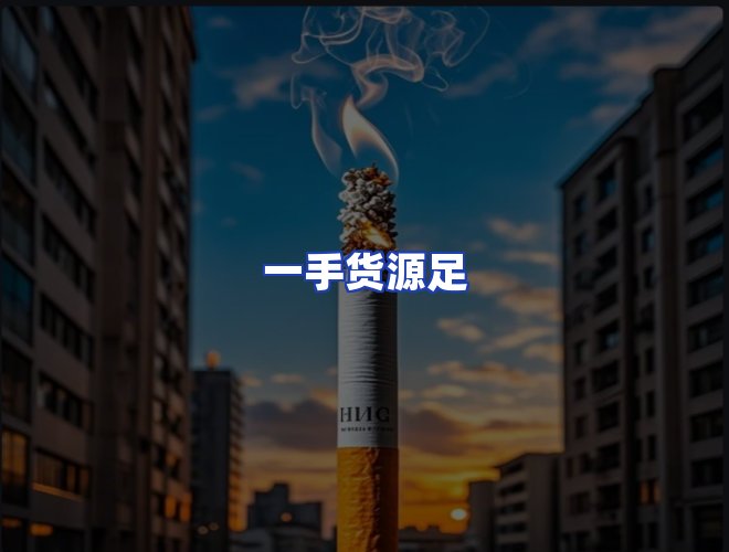 专业团队